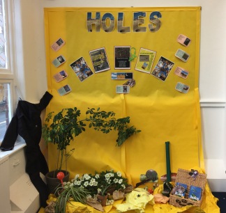 Holes Display